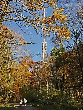 秋季森林,sauerland,北亮