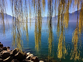 瑞士,日內(nèi)瓦湖,蒙特勒