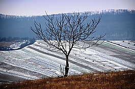 冬季景觀,性質(zhì),步行
