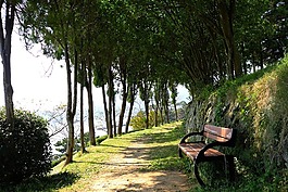 大自然,公園,步行