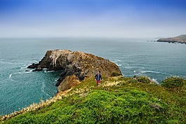 海岸,海洋,綠色