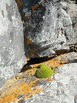 性質(zhì),石,巖