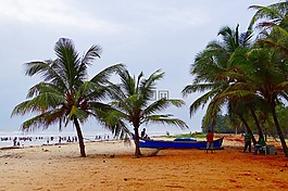 malpe 海灘,阿拉伯海,棕櫚樹