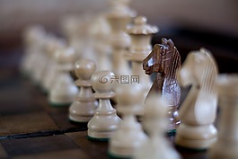 棋,馬,游戲