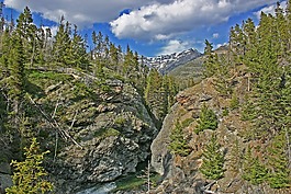 性質(zhì),山,木