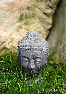 佛头,草,花园