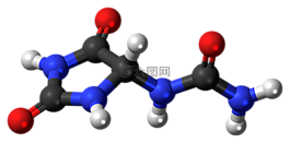 尿囊素,分子,模型