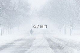 暴雪,雪,冬天