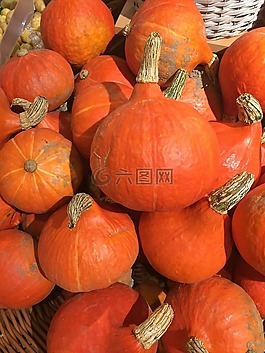 南瓜,橙色,秋