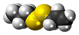 allylpropyldisulfide,分子,模型