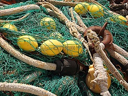 魚(yú)網(wǎng),網(wǎng)絡(luò),捕魚(yú)