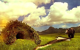 熊,洞穴,性質(zhì)