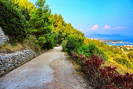 泥路,路,污垢