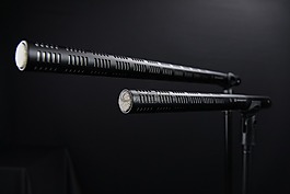 麥克風(fēng),散彈槍,音頻