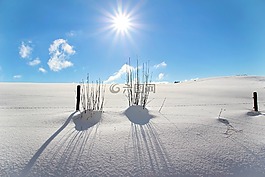 冬天,雪,寒冬