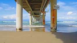 景觀,海灘,金海岸