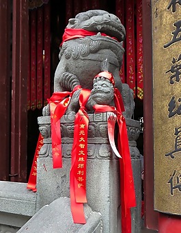 中國,上海,龍