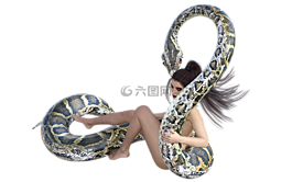 女子,蛇,amazone
