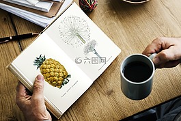 咖啡,表,紙