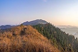 山,大自然,景觀