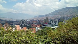 城市,natutal,綠色
