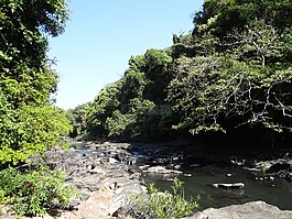 河,曼多維,河床