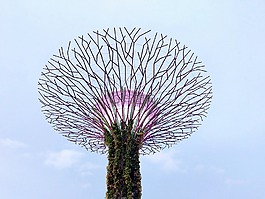 藝術(shù),結(jié)構(gòu),人工