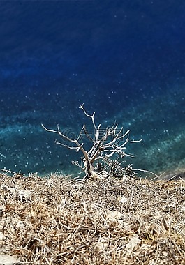 大西洋,水,海