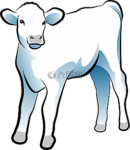 小牛肉,動(dòng)物,農(nóng)場(chǎng)