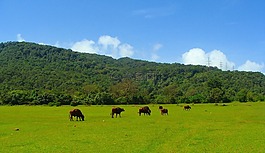 果阿,西高止山脈,山