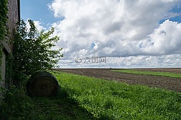 藍色,綠色,晚間