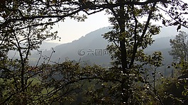 景觀,sauerland,普勒滕貝格