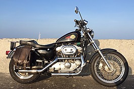 sportster,哈雷,摩托车