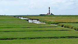 燈塔,北海,鹽草甸