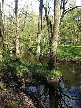 水,過獨(dú)身生活,河