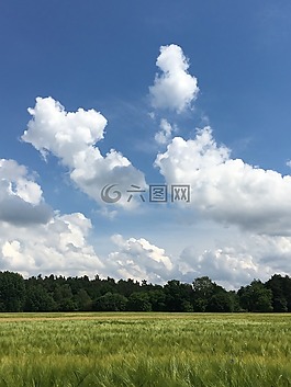 性質(zhì),新鮮,景觀
