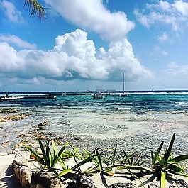 太陽,沖浪,假期