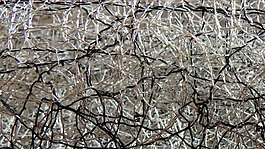紋理,web,宏