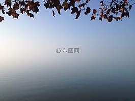 巴拉頓湖,秋季,葉子