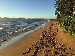 足跡,沙,海灘