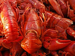 小龍蝦,食品,海鮮