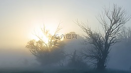 上午,藍(lán)色,黃金