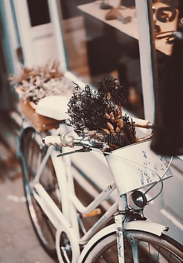 釀酒,復(fù)古,伊斯坦布爾