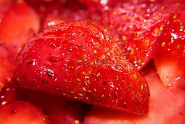 草莓,漿果,紅色