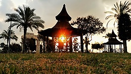 日出,太陽能,背光