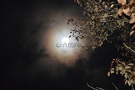 月亮,夜,黑暗