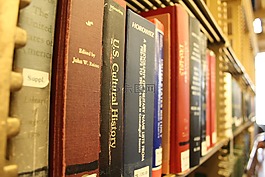 紐約公共圖書館,庫,書籍
