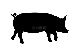 走,站在,豬