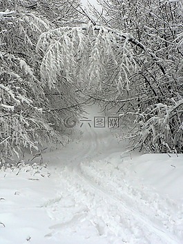 冬季,雪,腳印