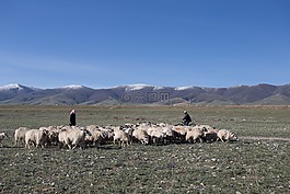 青海湖,西寧,甘肅